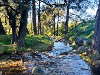 Lot 23 1118 Neringla Road, Braidwood