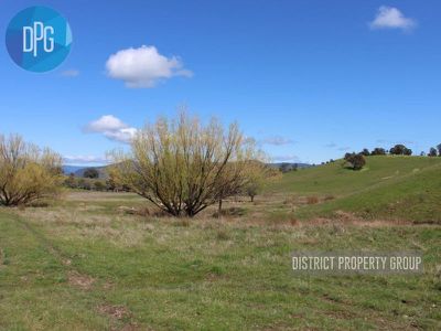 487 Old Tonga Road, Mansfield