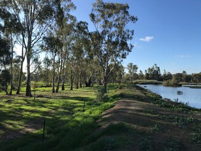 317 Lilford Lane, Barham