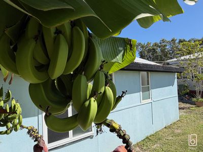 3 Gladstan Avenue, Long Jetty