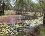95 Monduran Road, Yandaran