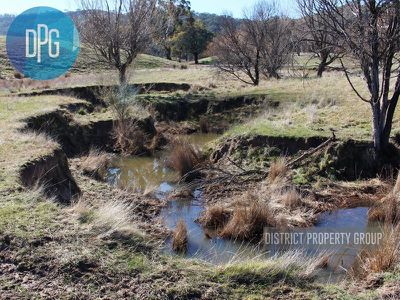 487 Old Tonga Road, Mansfield