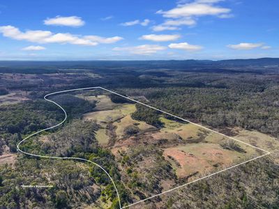 Lot 193 / 443 Back Creek Road, Mongarlowe