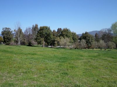 38 Hillandale Court, Bonegilla