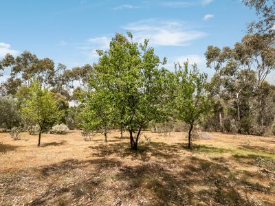 77 Youngs Lane, Heathcote