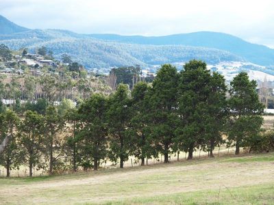 9005 Channel Highway, Huonville