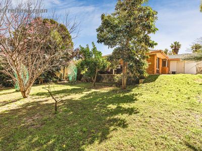55 Cervantes Loop, Yangebup