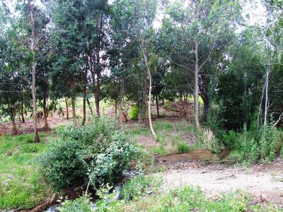 Lot 11, Fiddleback Drive, Tawonga South