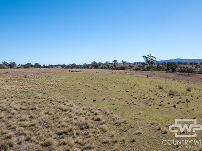 Lot 12, 212 Mole Station Road, Tenterfield