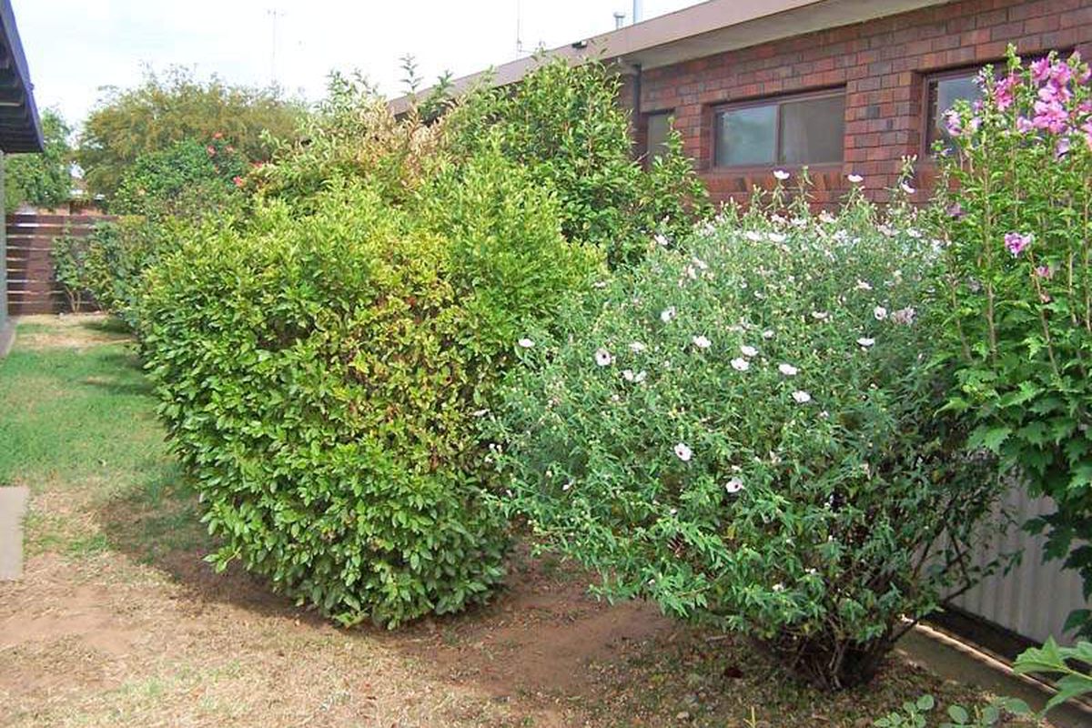 15 Bond Street, Kyabram