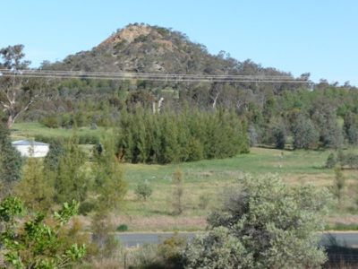 Lot 61 Burma Road, Table Top