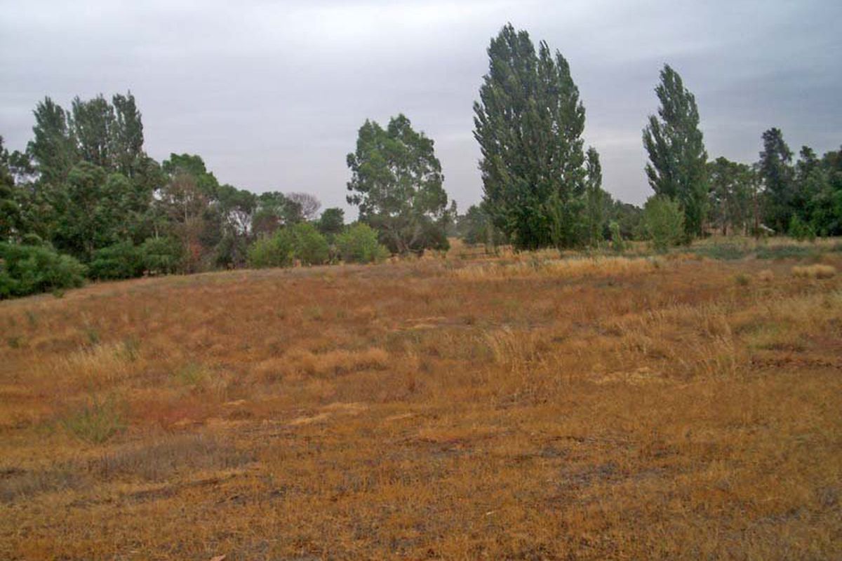 6A McEwan Road, Kyabram