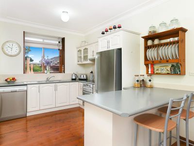 41 Robert Street, Telopea
