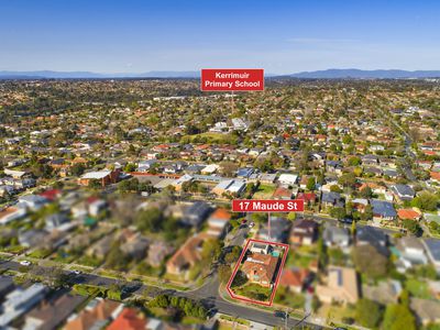 17 Maude Street, Box Hill North