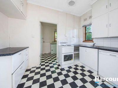 11 Nimbin Street, Narrabundah