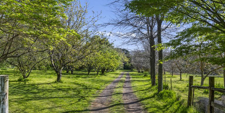 2122 Euroa-Strathbogie Road, Strathbogie