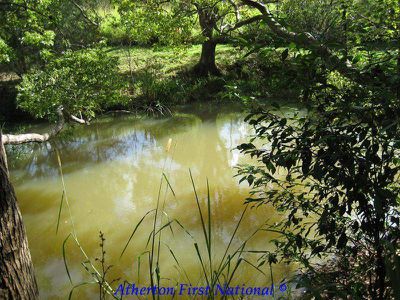 Yungaburra