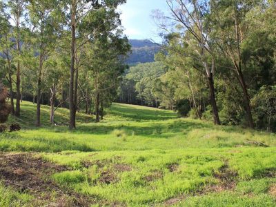 Lot 3 Lot 3 Cedar Springs Road, Kangaroo Valley