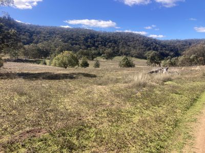 1950 FLAGGS ROAD, Gungal
