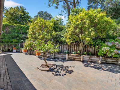 4/1 Penzance Road, Mairangi Bay