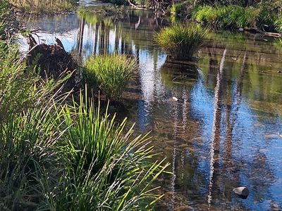 Lot 1 / 2667 Pappinbarra Rd, Pappinbarra