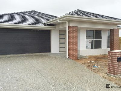 25 Bottle Brush Circuit, Coomera