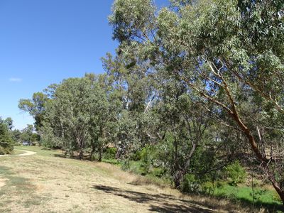 48 Blayney Lane, Nagambie