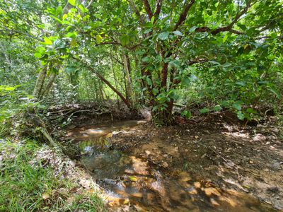 Lot 21, Old Dairy Road, Cooktown