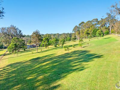 352 Bodalla Park Drive, Bodalla