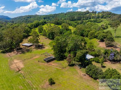 447 Terania Creek Road, Terania Creek