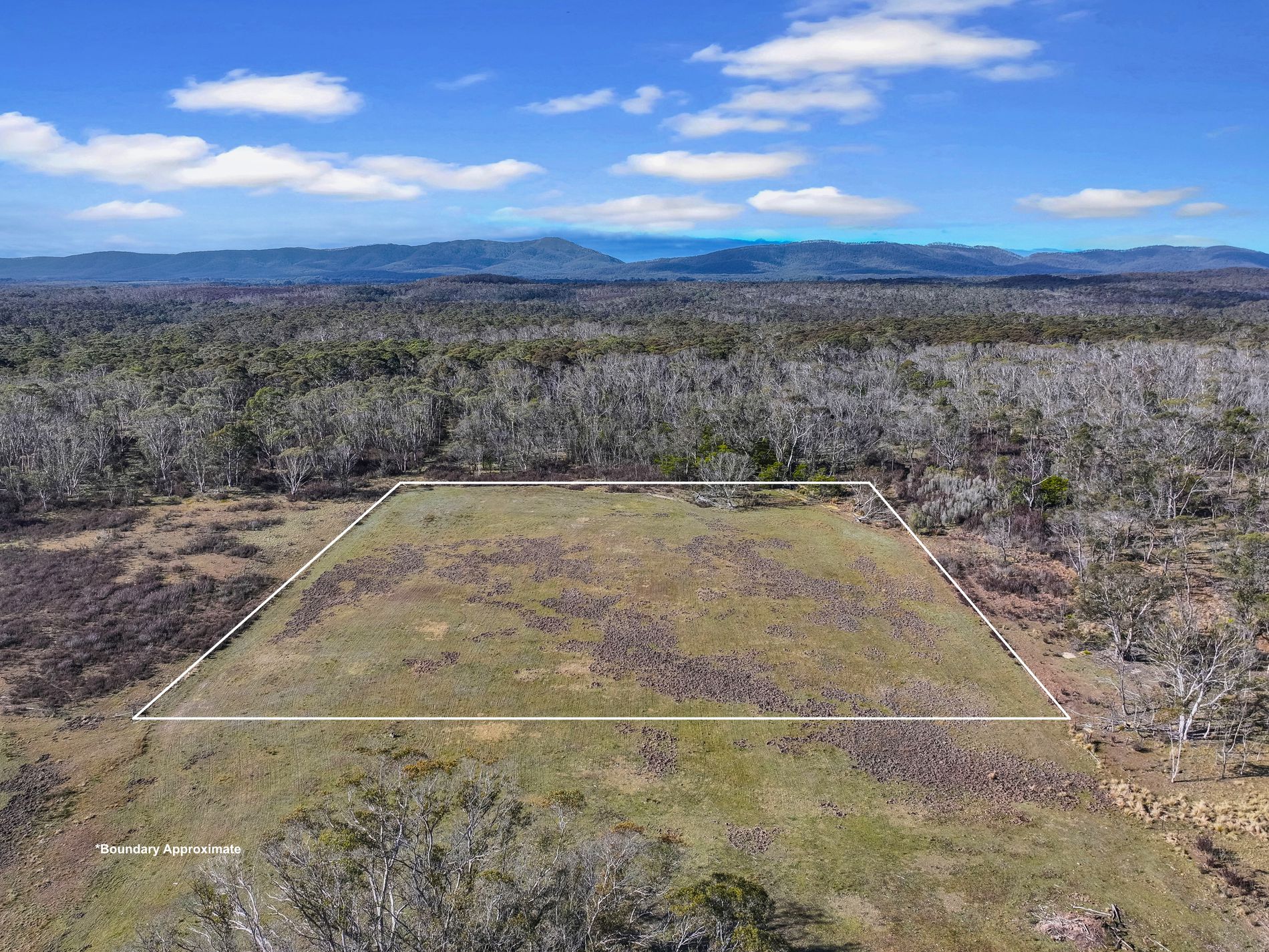 Lot 113 / 443 Back Creek Road, Mongarlowe