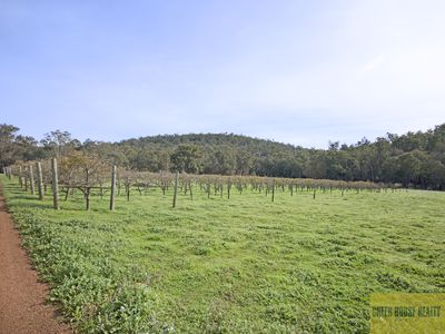 Lot 3 Pinjarra-Williams Road, Dwellingup