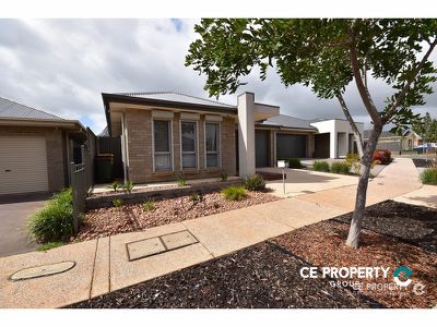 22 Queensberry Way, Blakeview