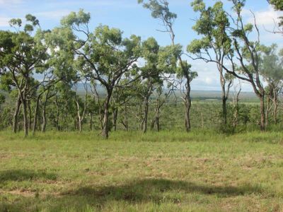 Mareeba