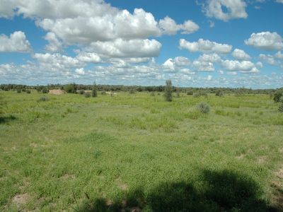 Lot 5 The Coolibahs, Longreach