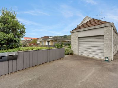 1 / 119 Tasman Street, The Wood