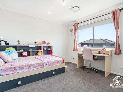 9  Flametree Drive, Marsden Park