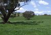 Lot 1 Reyfield Drive, Orange