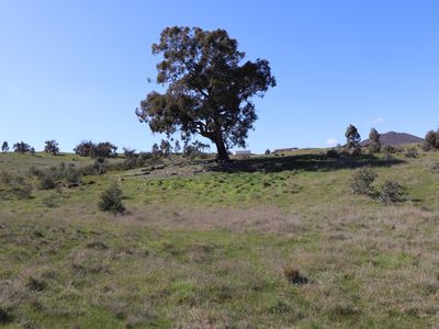 Lot 3  Lot 3  Coppermine Road, Heathcote