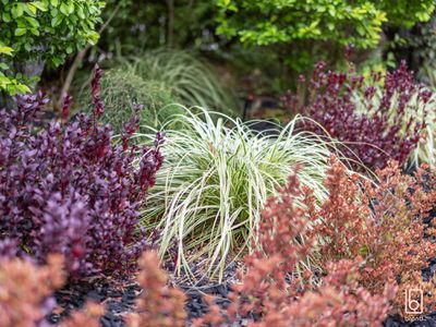 37 Mataram Road, Woongarrah