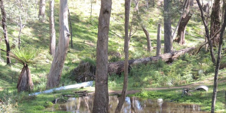 11 / Tames Road, Strathbogie