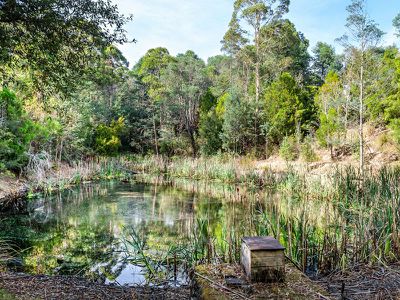 139 Cradoc Hill Road, Cradoc