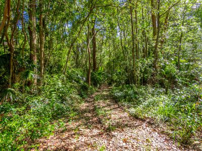 26 Manns Road, Mullumbimby