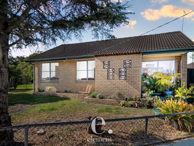 19 Neptune Avenue, Newcomb