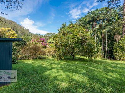 2 / 269 Upper Tuntable Falls Road, Nimbin