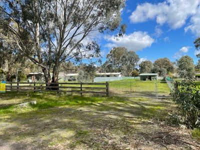 31 Ashwin Street, Violet Town