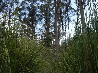 Lot 1, Guys Road, Cygnet