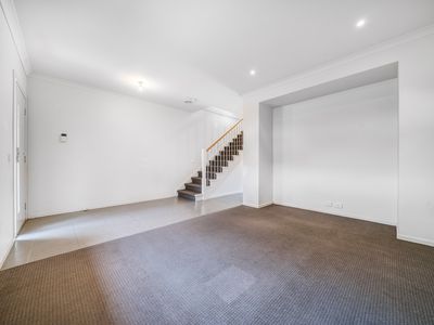 13 Cottonfield Way, Tarneit