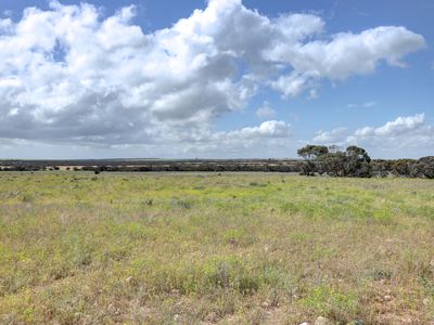 1439 Bowhill Road, Ettrick