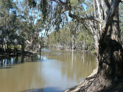 Deniliquin Road, Barham